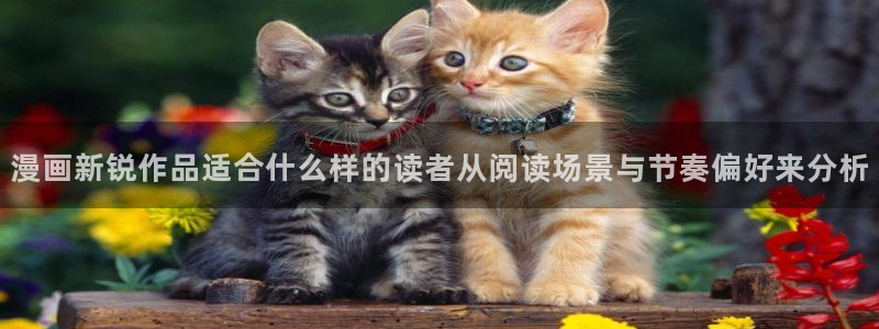 梦漫漫画阅读软件