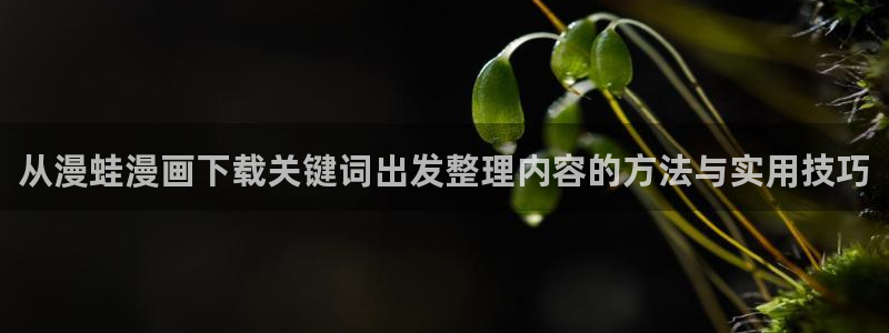 梦漫漫画在线阅读软件:从漫蛙漫画下载关键词出发整理内容的方法与实用技巧